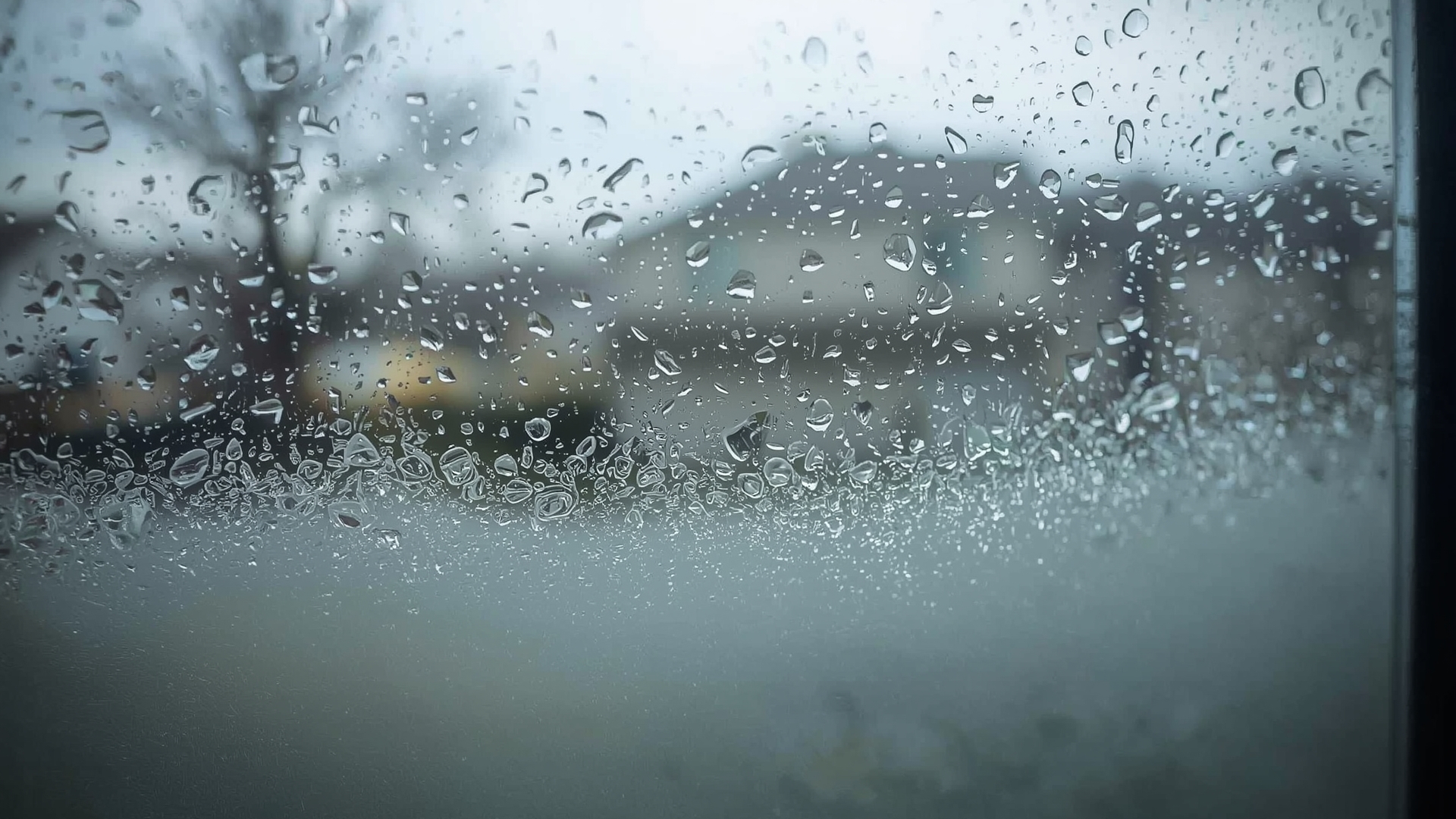 Close-up of foggy double-pane window showing seal failure condensation between glass layers